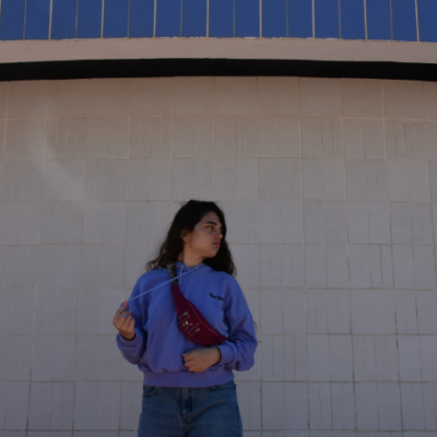 adinahand made bag fanny pack purple embroidery flower